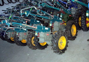 麦类 厂家专业生产设计耕田耕地用拖拉机小拖拉机